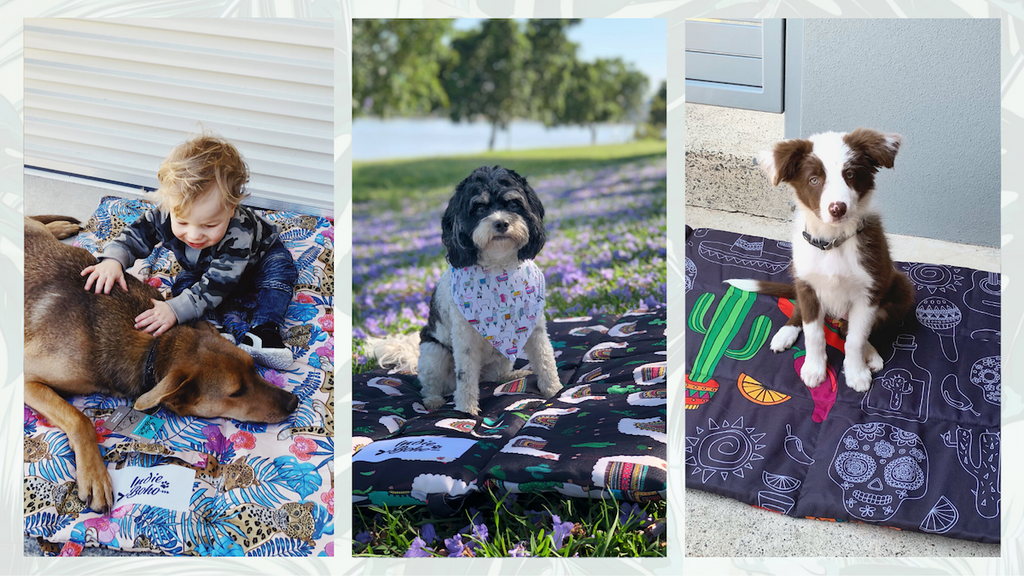 Dog and kids play mat, dog outdoor bed, puppy school mat