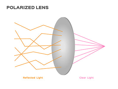 what are polarized lenses