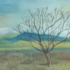 New Mexico Tree ALL OVER PRINT by Melody Gardy