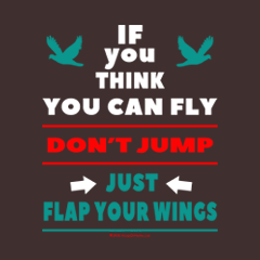 If You Think You Can Fly, Don't Jump by Melody Gardy