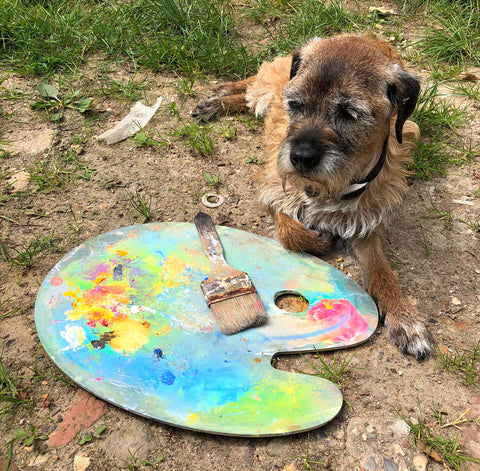 Our Muse Oz Dog the Arty Border Terrier