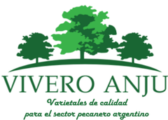 Logo del VIVERO ANJU