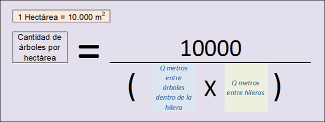 Fórmula para el cálculo de cantidad de árboles por hectárea.