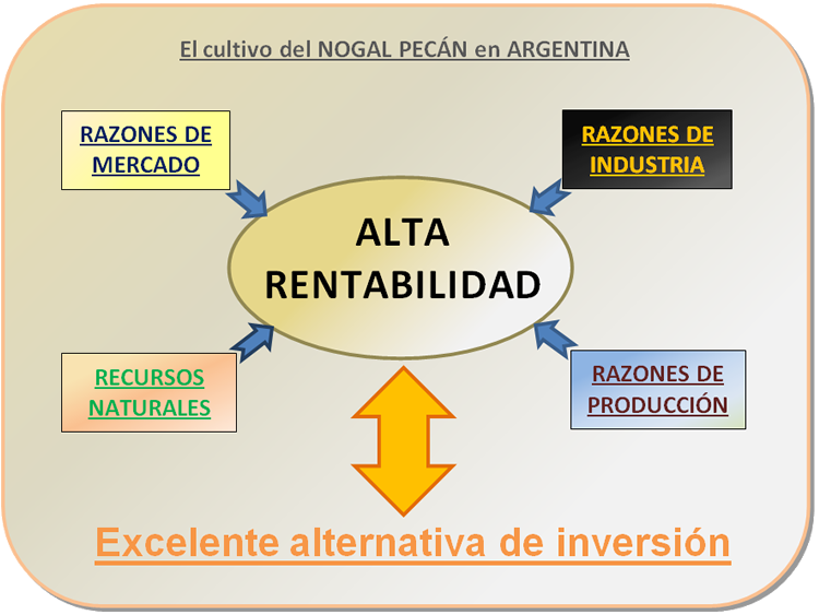 Razones para invertir en nogales de pecán en Argentina.