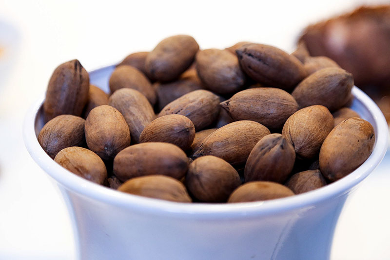 ¿Están los estadounidenses a punto de volverse locos por las nueces pecán?