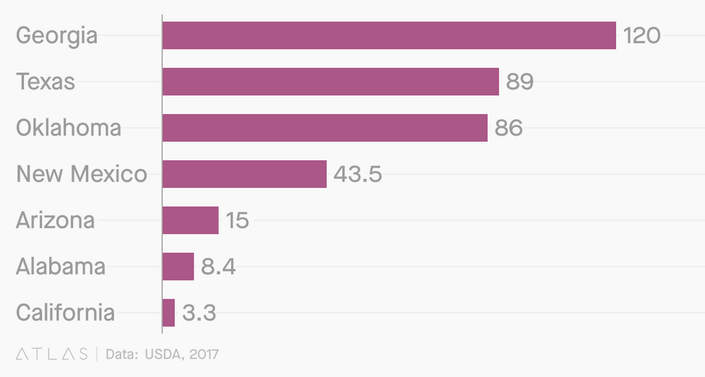 Producción de nueces pecán en los distintos estados de los EE. UU. en 2017