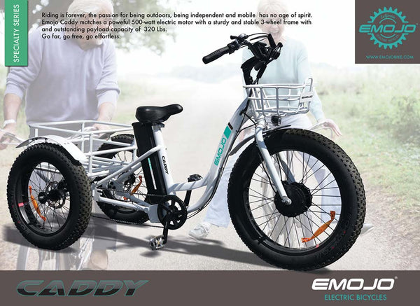 three wheel fat tire electric bike