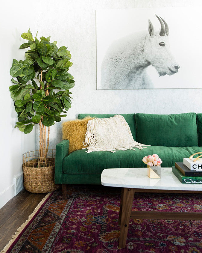 Living Room With Green Sofa