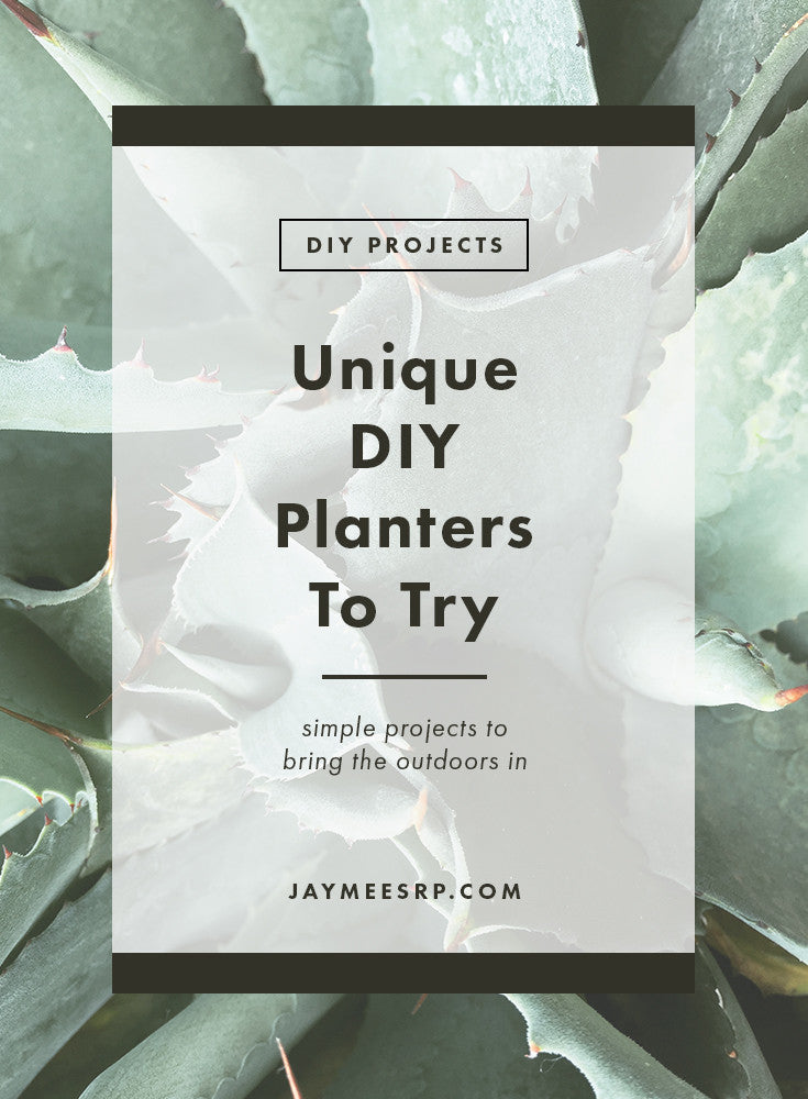 Unique DIY Planters To Try