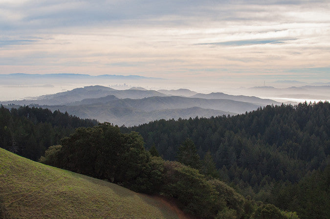 View of Bay Area from Mount Tamalpais