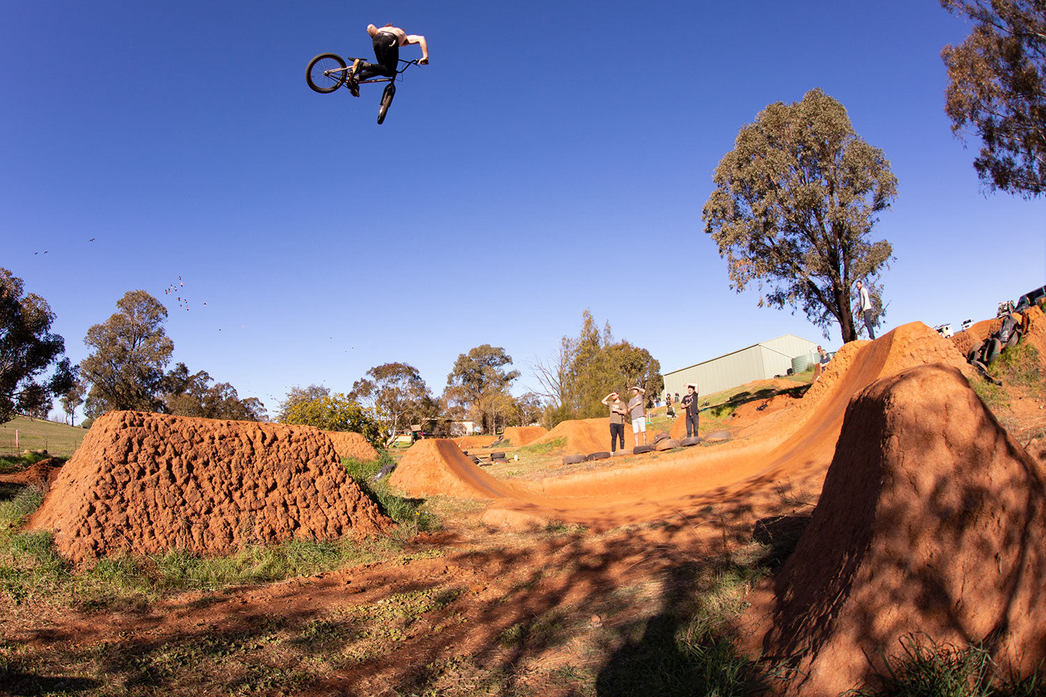 chris harti whipped dirty 30 bmx trails