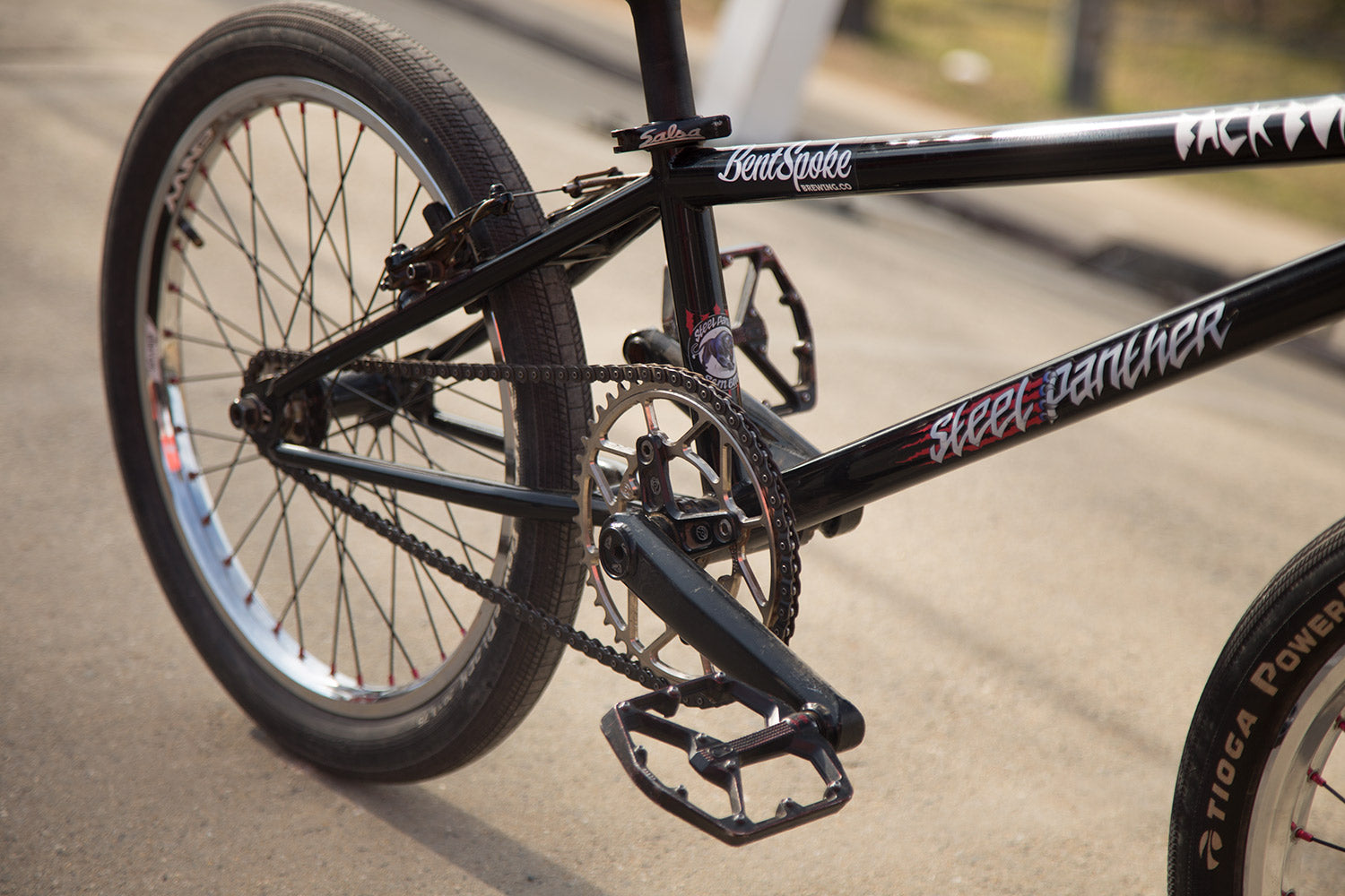 S&M Steel Panther race bike check cranks
