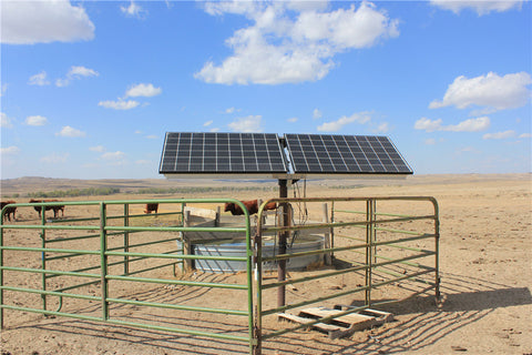 Solar water pumping for livestock