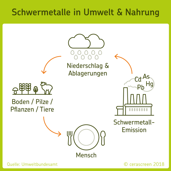 Wie Schwermetalle in Umwelt und Nahrung kommen