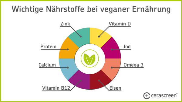 Infografik: Kritische Nährstoffe in der veganen Ernährung