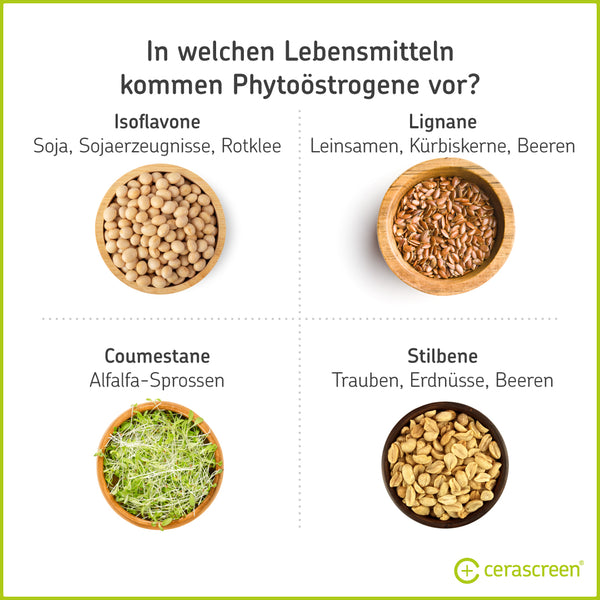 Infografik: In welchen Lebensmitteln stecken Phytoöstrogene?