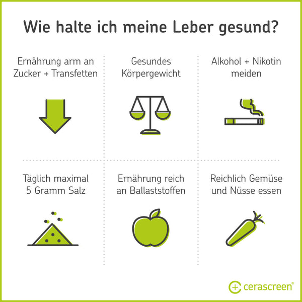 6 Tipps für eine gesunde Leber