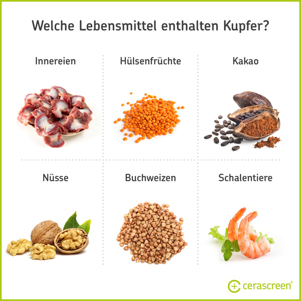 Infografik: Lebensmittel, die Kupfer enthalten