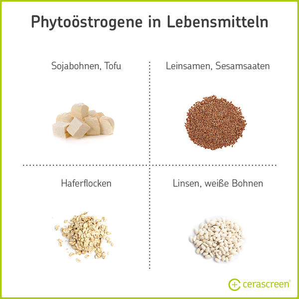 Lebensmittel mit Phytoöstrogenen