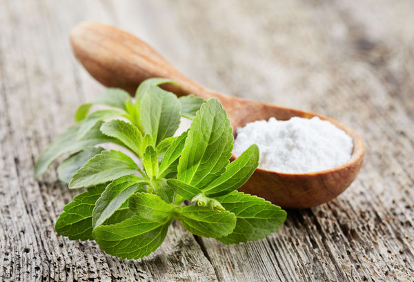 Zuckerersatz Stevia als Blatt und als Pulver