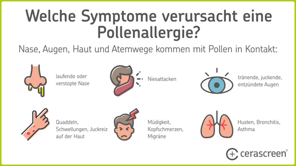 Symptome Pollenallergie
