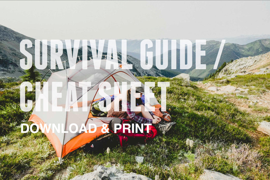 Limitless Equipment | Survival Guide for download and printout