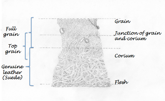 leather-grain-infographic-niche-lane