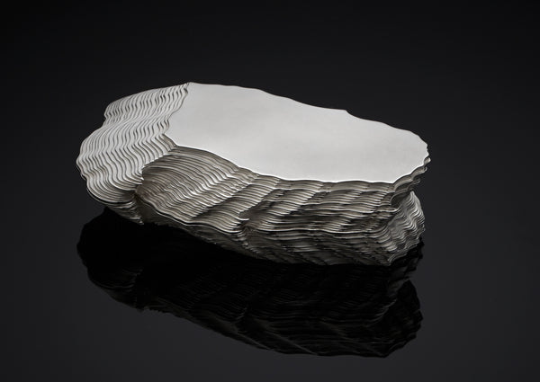 Silver Oyster Box