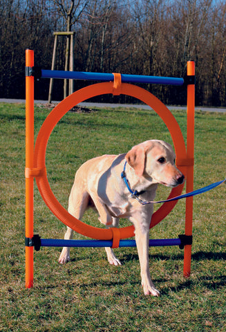 Agility training set for pets