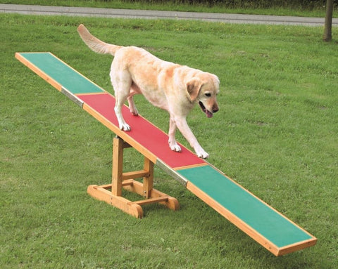 trixie seesaw for pet training