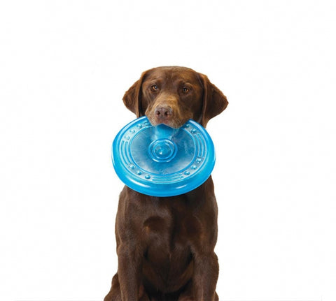 Flying disc for dogs