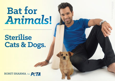 rohit sharma and his pet