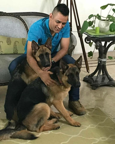 dhoni with his pets