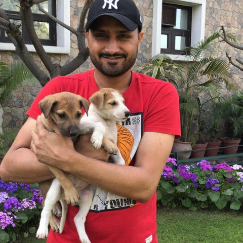 harbhajan and his pets