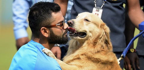 virat kohli and his pet dog