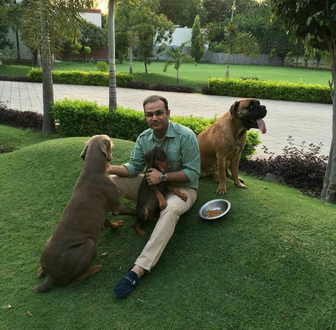 sehwag with pets
