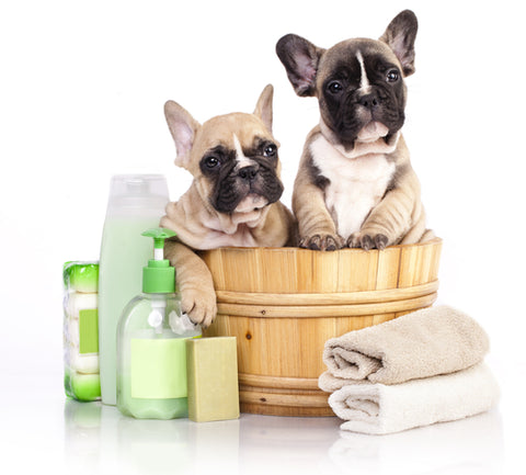 shampoos and conditioners for pets