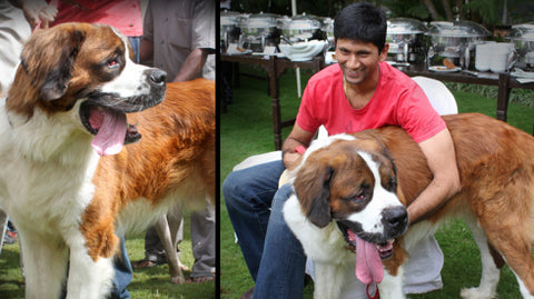 Venkatesh prasad with his pet dog