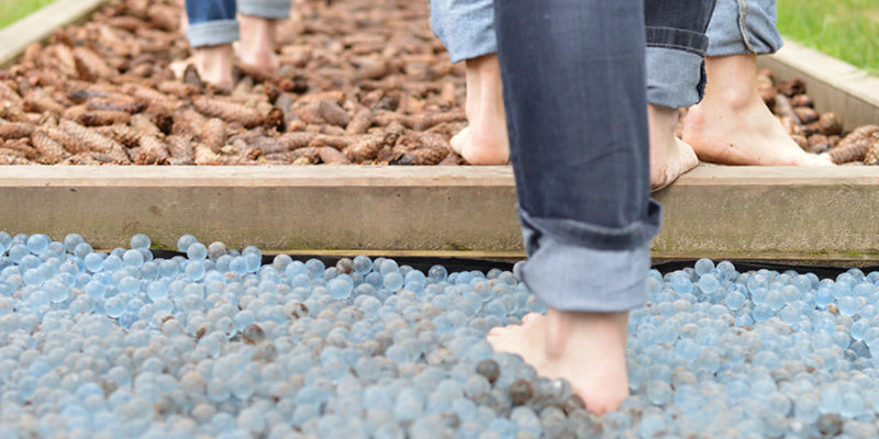 Barefooted Walking