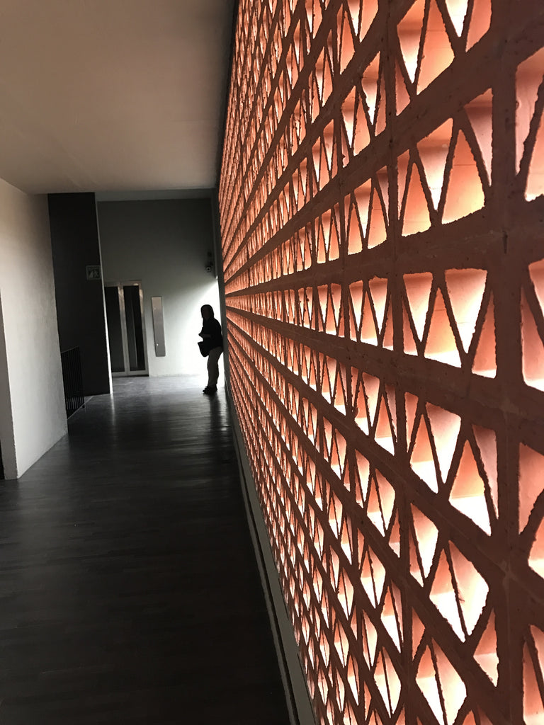 Mexican Terracotta Block Wall in DOWNTOWN Hotel in Mexico City