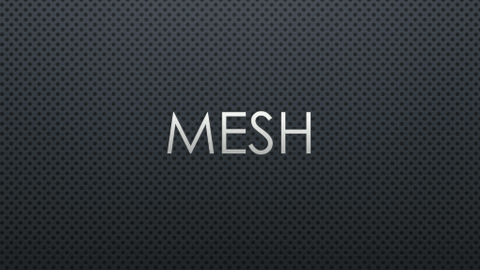 mesh, stretch mesh