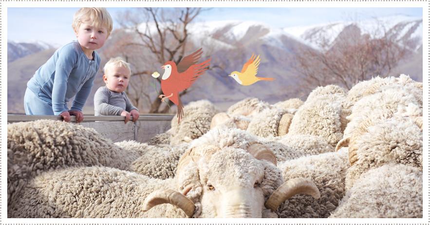 New Zealand Merino baby clothes is world's best baby clothes