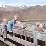 merino wool regulates temperature and feels better than any other wool. Perfect baby wool