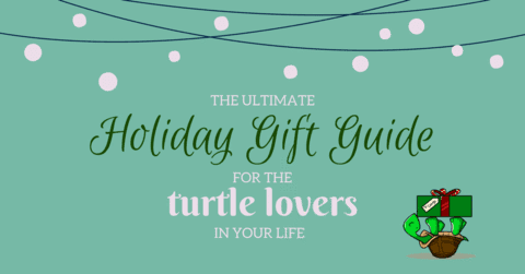 The Ultimate Holiday Gift Guide For The Turtle Lovers In Your Life