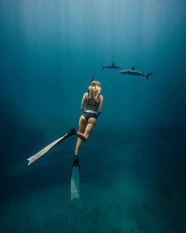 Freediving with sharks.