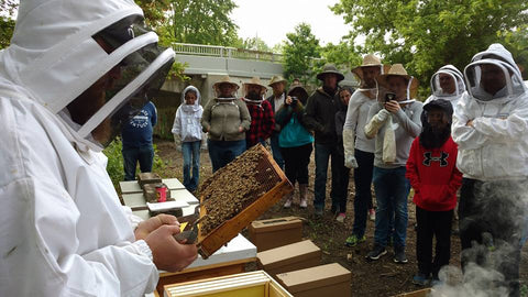 Beekeeping Workshop Hive Inspection