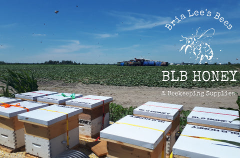 BLB Honey Pollination Services Southwestern Ontario