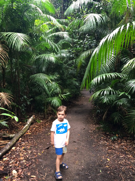 Bushwalking With Kids