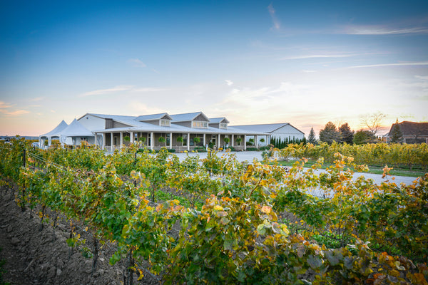 Pondview Estate Winery Niagara Peninsula 