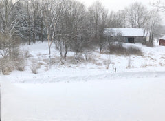 Snow day in Vermont